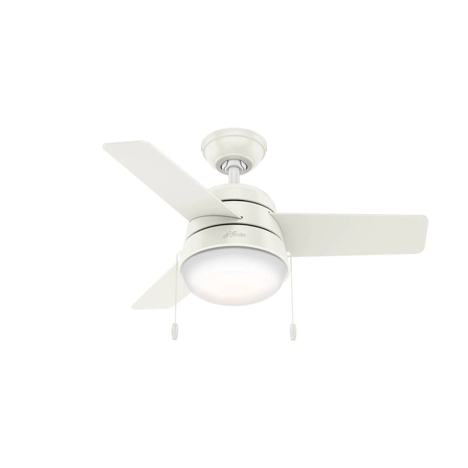Aker with LED Light 36 inch