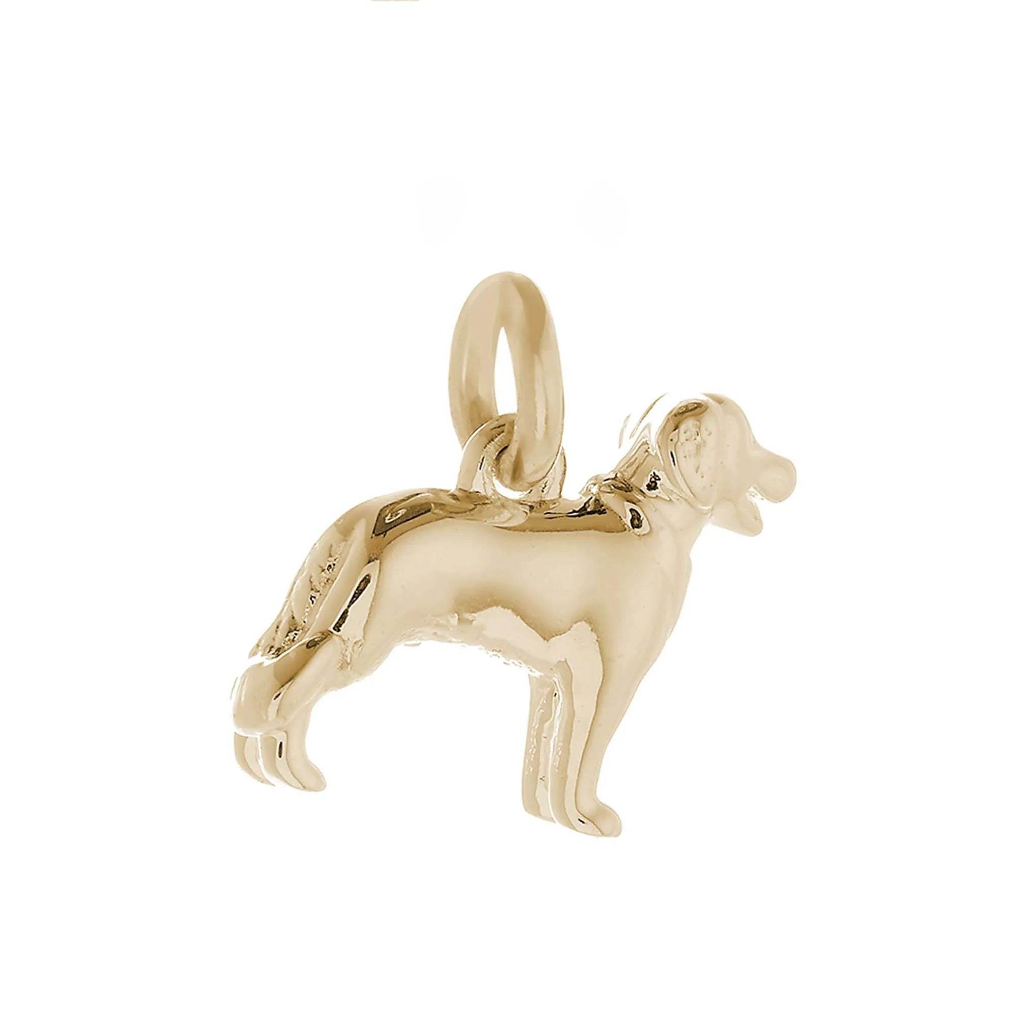 Golden Retriever Solid Gold Dog Charm