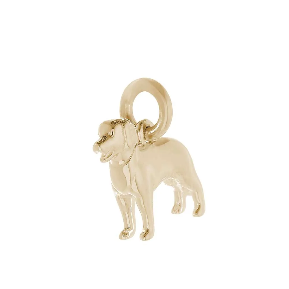 Golden Retriever Solid Gold Dog Charm