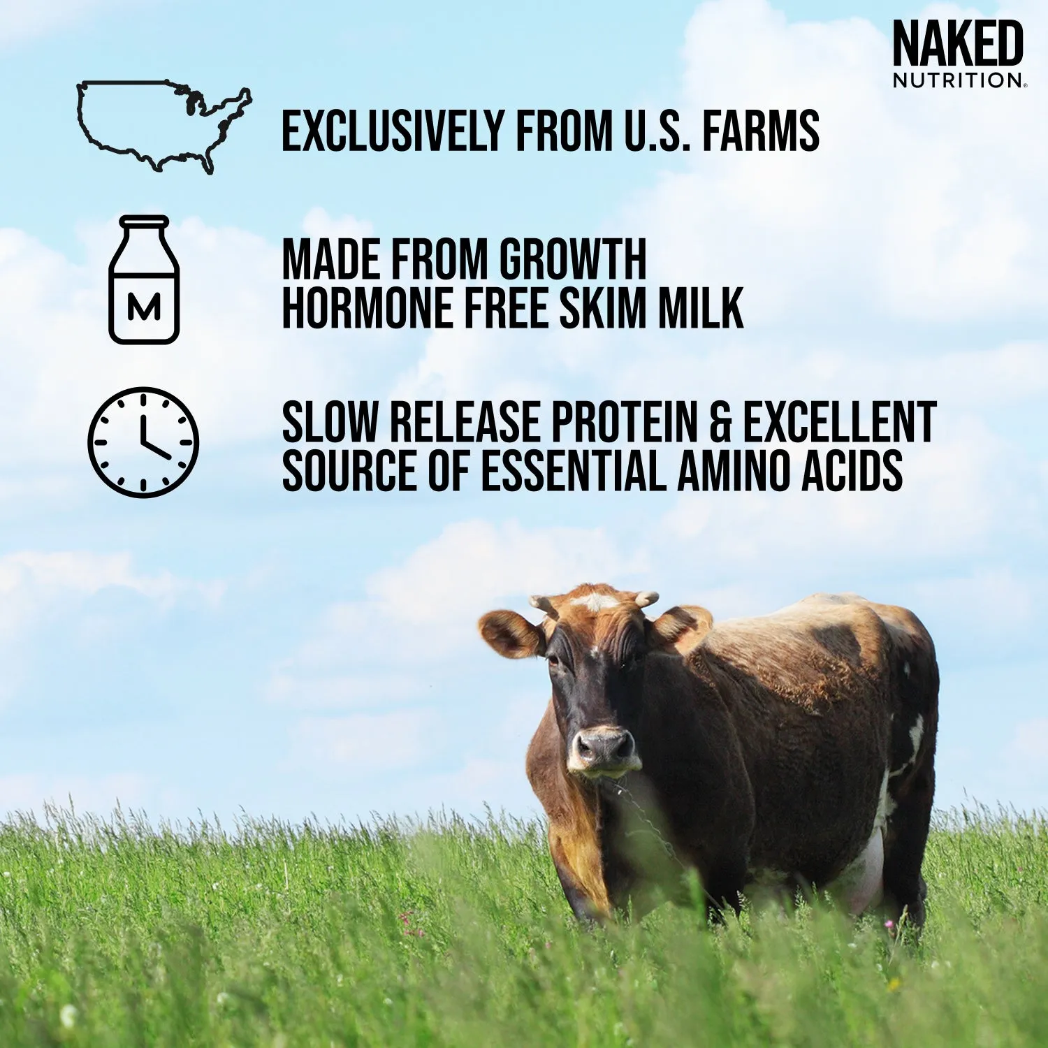 Micellar Casein Protein Powder | Naked Casein - 1lb