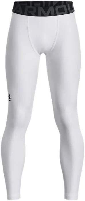 Under Armour Boys' HeatGear? Armour Leggings