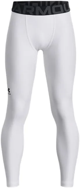 Under Armour Boys' HeatGear? Armour Leggings