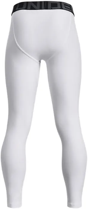 Under Armour Boys' HeatGear? Armour Leggings